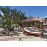 Bungalows de punta sal  - S./ 600 la noche - Imagen 15