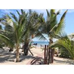 Bungalows de punta sal  - S./ 600 la noche - Imagen 16