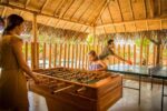 Vichayito Bungalows  - 6 PERSONAS, - Imagen 10