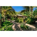 Bungalows BUDA - Máncora - S./ 1000 SOLES LA NOCHE. - Imagen 8