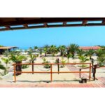 Bungalows de punta sal  - S./ 600 la noche - Imagen 9